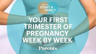 OB-GYN Breaks Down Your First Trimester of Pregnancy Week-by-Week  How to Start a Family  Parents