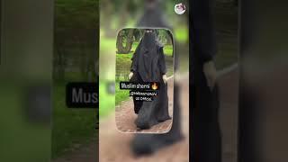 sherose kabileki aagoshke bare haiIslamic girl short video#2024#Islamic hijab#@MdUsamaRahiUSOfficial