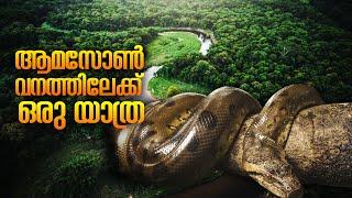 Journey to Amazon Forest  Amazon-The Biggest Rainforest in the World ആമസോൺ വനത്തിലേക്ക് ഒരു യാത്ര