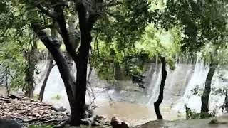 longest waterfall in the earth has situated in India