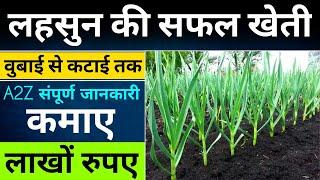 लहसुन की खेती  Garlic farming  full A2Z Video  Lahsun ki kheti कमाये लाखों रूपये lahsun khad