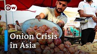 Great Onion Crisis India bans onion exports  DW News