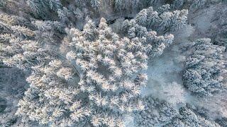 DJI MINI 3 PRO - Wunderschöne Winterlandschaft im Allgäu