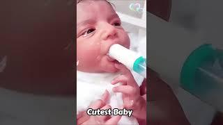 Cute Baby Milk Feed Hungry Baby️ #baby #cute #trending #love #viral #youtube #shorts