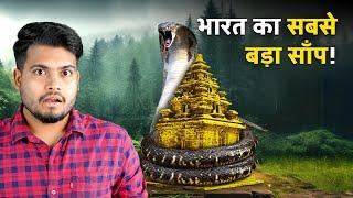 INSANE Discovery in India Worlds Giant Snake Found in Guajarat