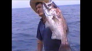 Fishing Monster Pearl Perch Mooloolaba Sunshine Coast  Barwon Banks 1996