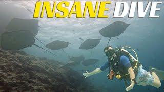 Most INSANE Scuba Dive At Fish Factory - Family Dive Adventures Maldives   Ep 79