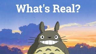 My Neighbor Totoro Whats Real?  Big Joel