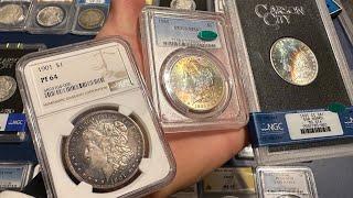 My Entire Graded Morgan Silver Dollar Collection What Morgans should you Collect?