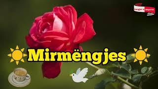 Mirmëngjes ️