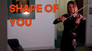 Shape Of You  Kate The Violinist  Book Now at Warble Entertainment