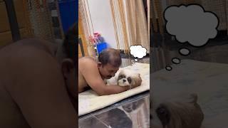 Nthokeya ee chinthichu kootane #shorts #trending #shortvideo #puppy