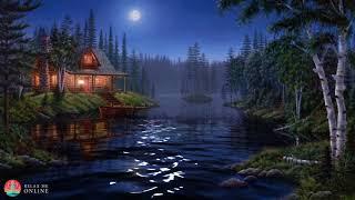 Night Ambient Sounds Cricket Swamp Sounds at Night Sleep and Relaxation Meditation Sounds