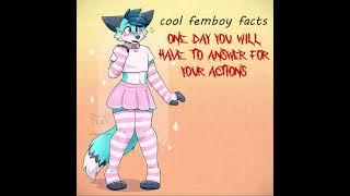 cool femboy facts