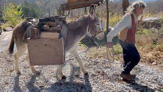 Dick Courteau - On Training Donkeys