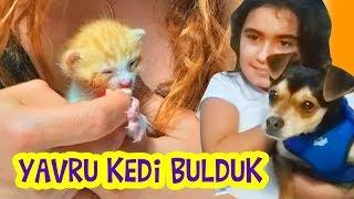 SOKAKTA YAVRU KEDİ BULDUK EVİMİZE ALDIK  Umikids Mira nın Köpeği Çok Kıskandı