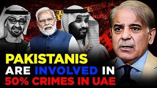 Pakistanis are involved in 50% Crimes in UAE  Arab world trusts more on India  Bangladesh & Nepal