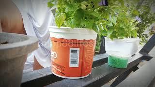 How Do I Clean Flower Plant Pots?  Natural Homemade Flower Pot Cleaning