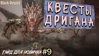 №9 Прохождения Дригана как расширить склады в бдо  Гайд для новичка в Black Desert 2023