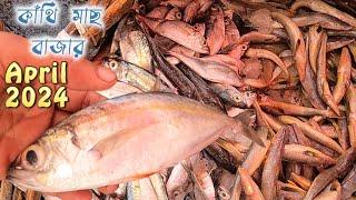 কাঁথি মাছের বাজার 2024  Fish price in Midnapur  fish price 2024 #fishmarket #prawns