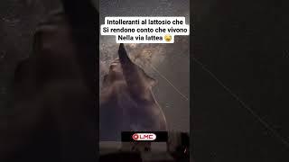 Intolleranti al lattosio a rischio estinzione #viral #meme #memes #follow #like #vibe #shorts #short