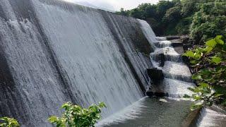 Morbe Dam New Panvel With Full detail  Near Mumbai  Beautiful place to visit in Monsoon