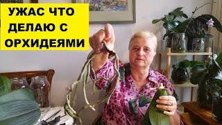 УЖАС ЧТО ДЕЛАЮ С ОРХИДЕЯМИ..ВАМ ТАКОГО НЕ ПОКАЗЫВАЮТ