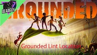 Grounded Lint Location