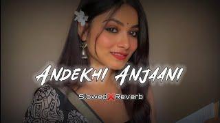 Andekhi Anjaani   Slwoed + reverab  Lofi song l mind relax song l Anjali music l #Lofisong