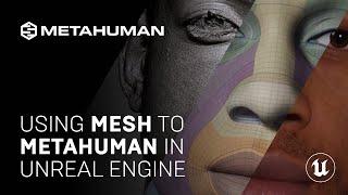 Using Mesh to MetaHuman in UE  Unreal Engine