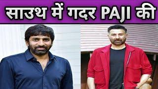Sunny Deol South Pan India movie shooting start  Gopichand  Sunny Deol 