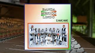 Banda México Lindo - El Wane Wane