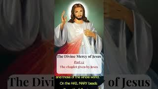 Divine Mercy of Jesus - Part 12  #shorts #divinemercy #jesus #short