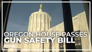 Gun control bill passes Oregon House moves to Senate