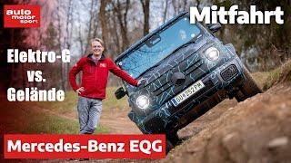 Mercedes-Benz EQG Kann die Elektro-G-Klasse Gelände?  - Fahrbericht I auto motor und sport