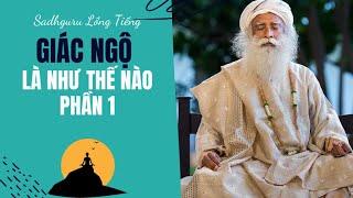 Giác Ngộ Là Như Thế Nào - Phần I  Sadhguru Lồng Tiếng #150