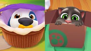 My Talking Hank 2 Vs My Talking Tom 2