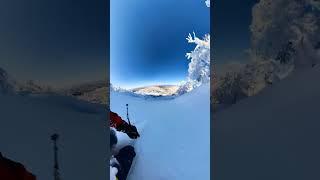 Japanese cold smoke ️ #japow #freeski #hokkaido