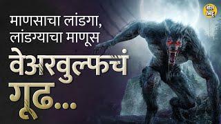 Bhediya Movie मध्ये दाखवलेल्या werewolf चे दाखले Greek आणि Hindu mythology मध्येही सापडतात Bol Bhidu