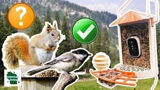 Is THIS Metal Smart Bird Feeder Really Squirrel Proof? Birdkiss Metal Smart Bird Feeder Review