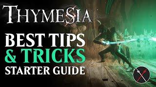 Thymesia Beginner Guide Top 10 Things All Players Should Know