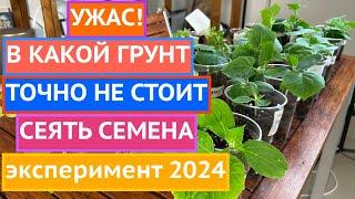 ОФИЦИАЛЬНО  В КАКИЕ ГРУНТЫ ЛУЧШЕ ВСЕГО СЕЯТЬ СЕМЕНА А ОТ КАКИХ СТОИТ ОТКАЗАТЬСЯ