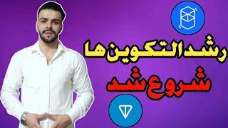 پیش بینی رشد بیتکوین و شروع رشد التکوین هاآلت سیزن کی شروع میشه