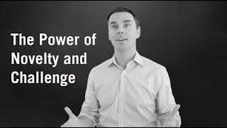 The Power of Novelty and Challenge