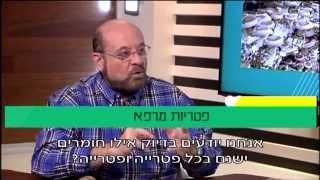 פרופ קרסו עם נחשול כהן פטריות מרפא והשימושים שלהן ברפואה המשלימה