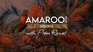 Amaroo 2024 Session 6 A glimpse