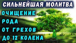 САМАЯ СИЛЬНАЯ МОЛИТВА  МОЛИТВА НА ОЧИЩЕНИЕ РОДА ОТ ГРЕХОВ ДО 12 КОЛЕНА  ПОКАЯНИЕ ЗА ВЕСЬ РОД