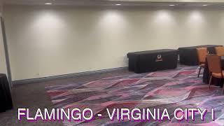 Flamingo - Virginia City I