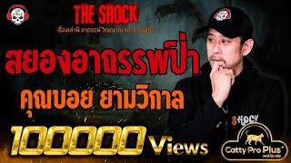 สยองอาถรรพ์ป่า คุณบอย ยามวิกาล l TheShock13