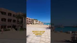 Пляж Лагуна Sunny Days el palacio palma de mirette Все включено Отдых в Хургаде зимой февраль 2024